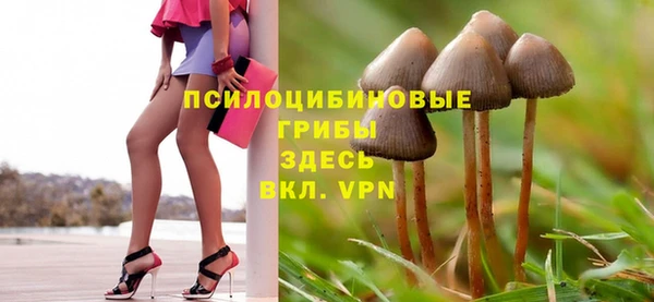 дживик Нягань
