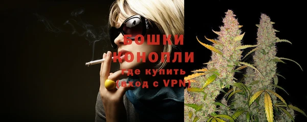 дживик Нягань
