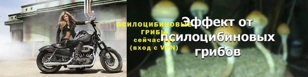 прущие крисы Нязепетровск