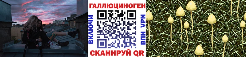 Галлюциногенные грибы мицелий  Кашин 